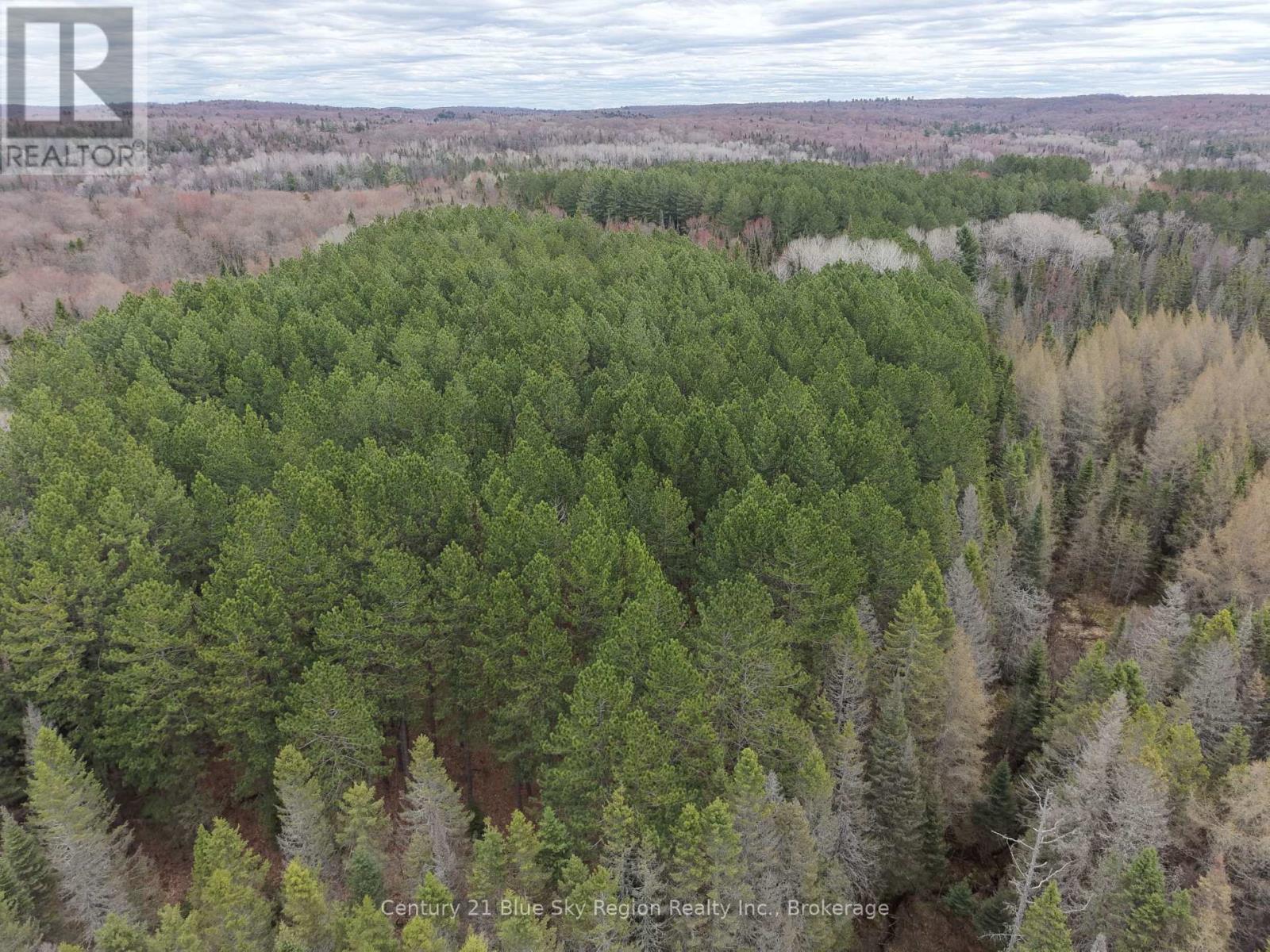 Lot 2, 3, 4, 5, Con 4 Old Nipissing Road, Nipissing, Ontario  P0H 1Z0 - Photo 35 - X13624446