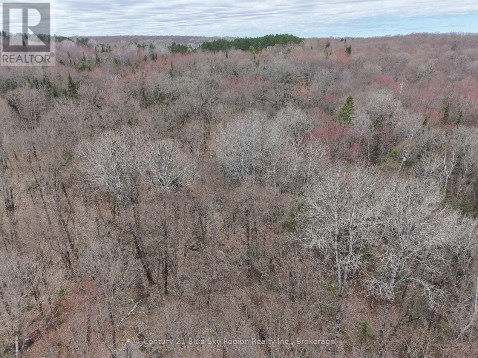 Lot 2, 3, 4, 5, Con 4 Old Nipissing Road, Nipissing, Ontario  P0H 1Z0 - Photo 37 - X13624446