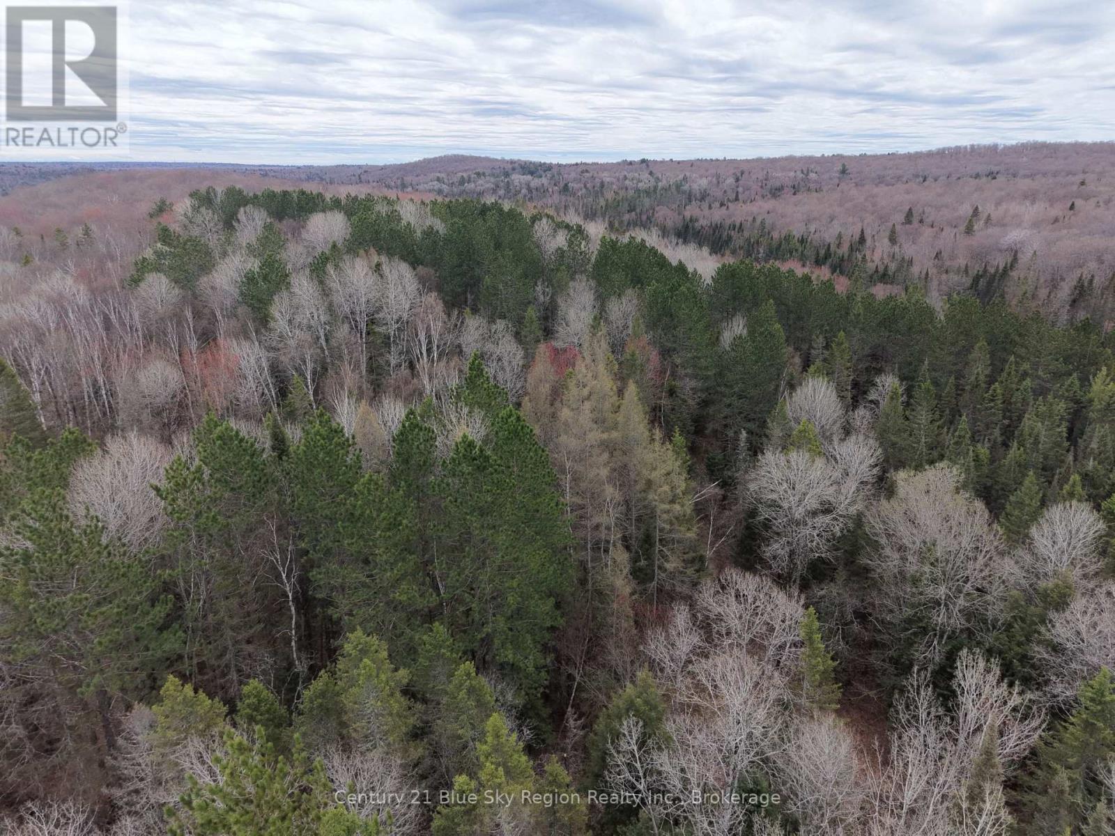 Lot 2, 3, 4, 5, Con 4 Old Nipissing Road, Nipissing, Ontario  P0H 1Z0 - Photo 39 - X13624446