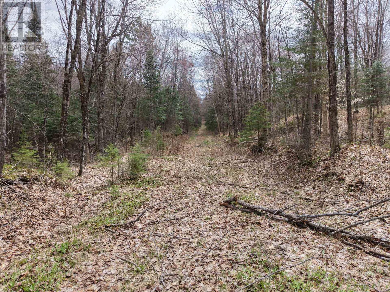 Lot 2, 3, 4, 5, Con 4 Old Nipissing Road, Nipissing, Ontario  P0H 1Z0 - Photo 43 - X13624446