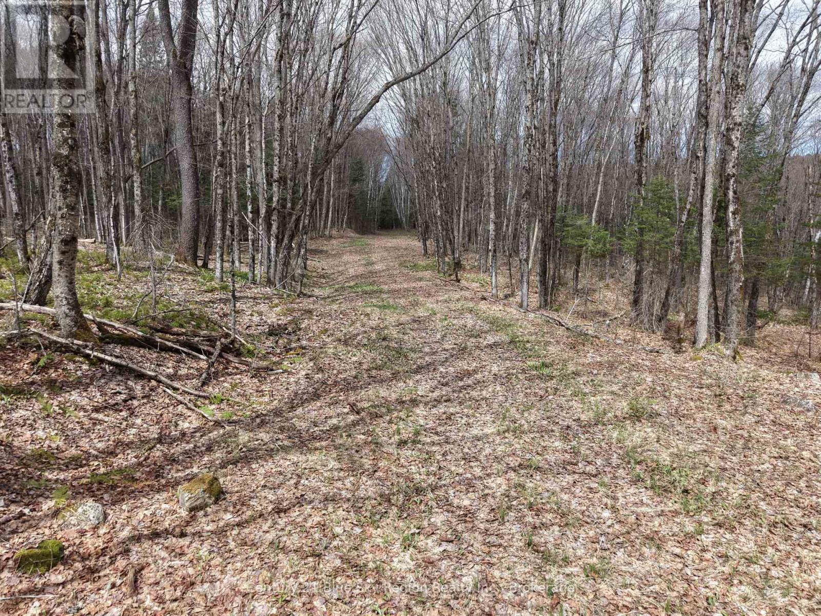 Lot 2, 3, 4, 5, Con 4 Old Nipissing Road, Nipissing, Ontario  P0H 1Z0 - Photo 44 - X13624446