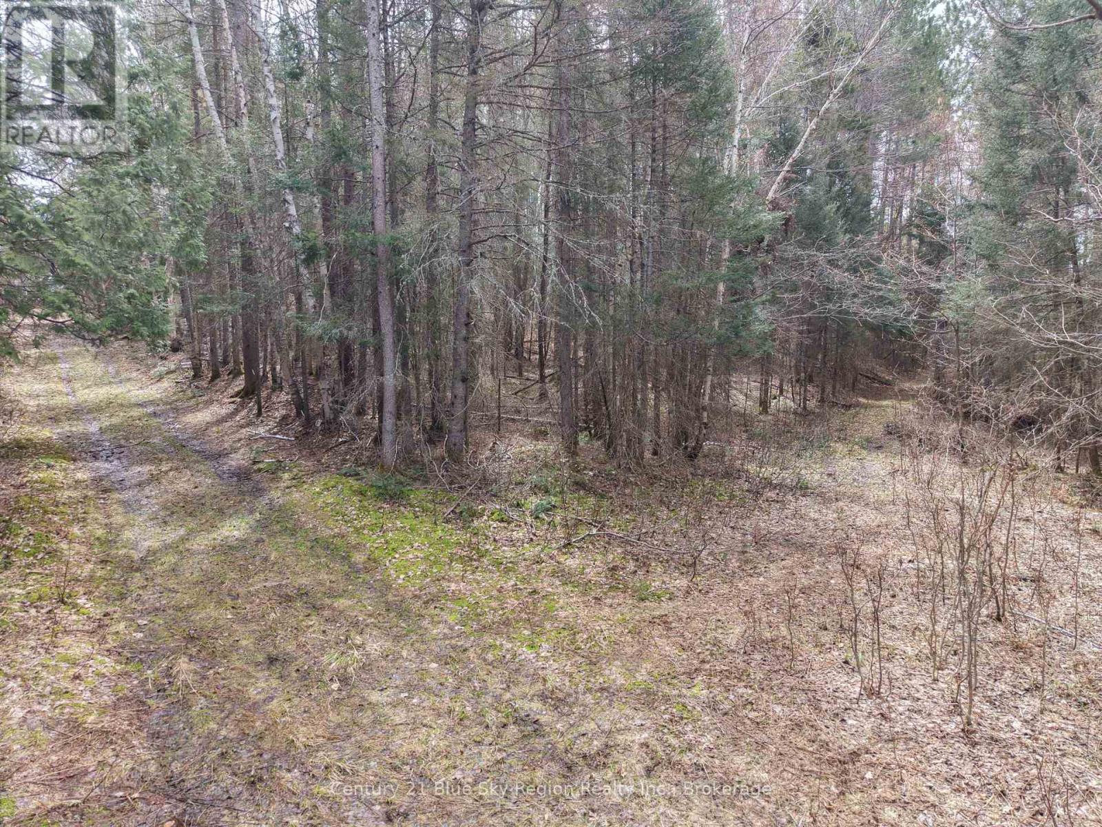 Lot 2, 3, 4, 5, Con 4 Old Nipissing Road, Nipissing, Ontario  P0H 1Z0 - Photo 45 - X13624446