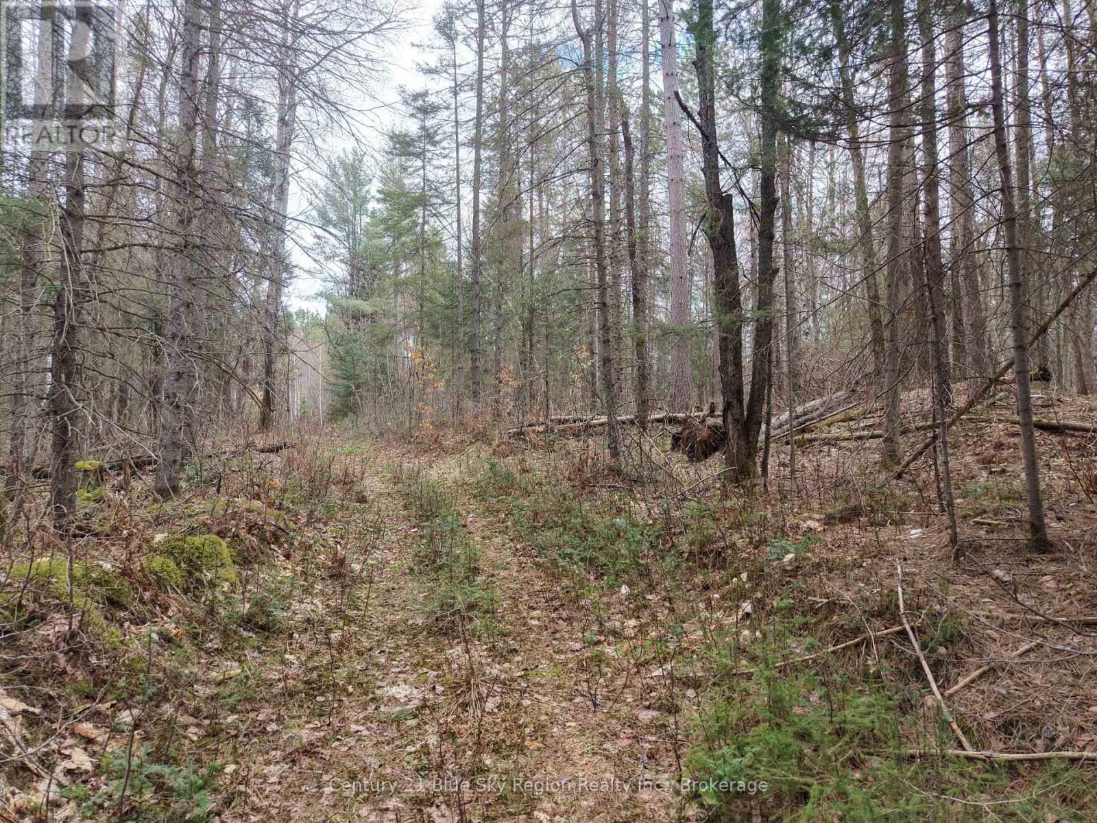 Lot 2, 3, 4, 5, Con 4 Old Nipissing Road, Nipissing, Ontario  P0H 1Z0 - Photo 5 - X13624446