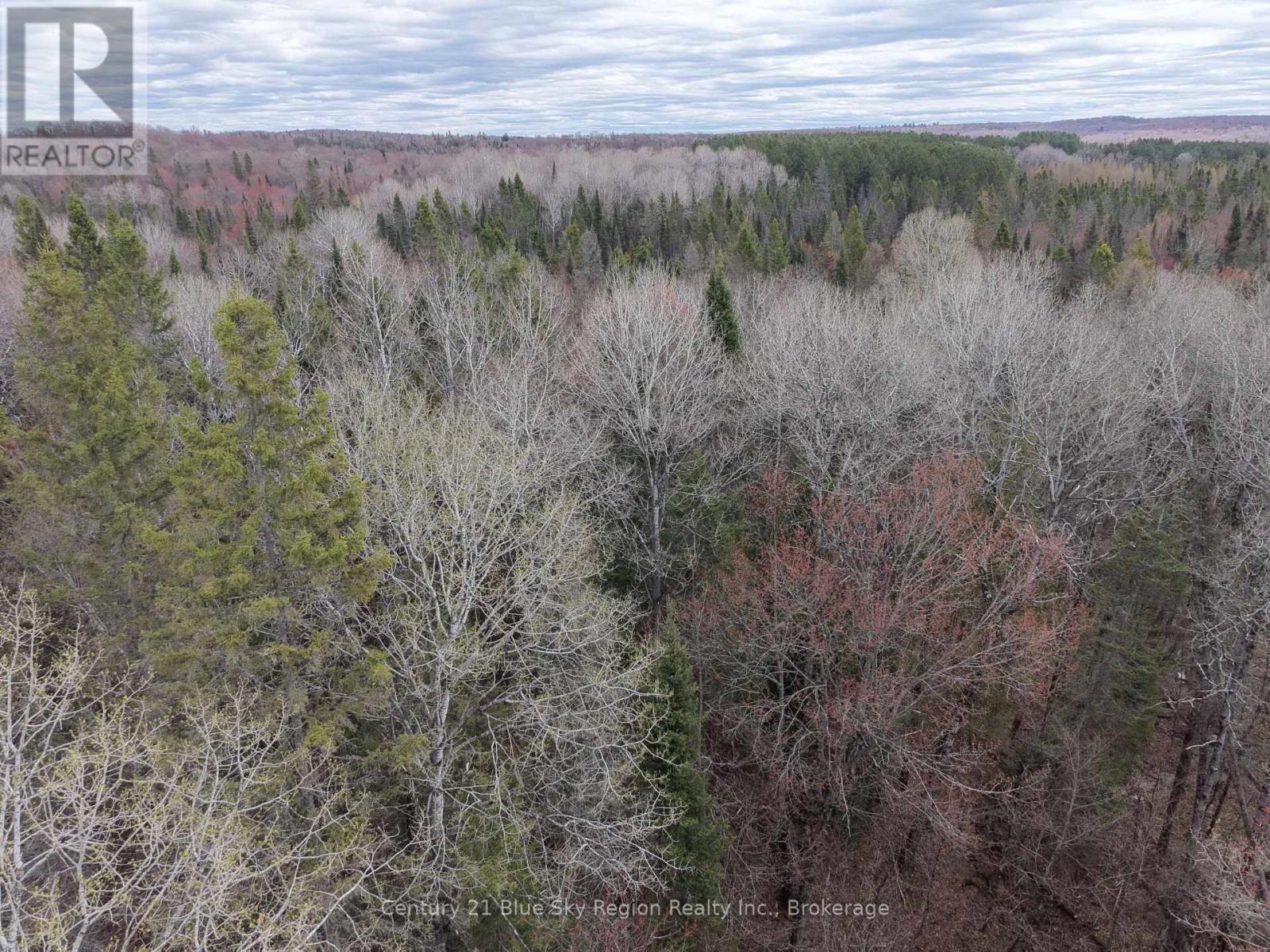 Lot 2, 3, 4, 5, Con 4 Old Nipissing Road, Nipissing, Ontario  P0H 1Z0 - Photo 6 - X13624446
