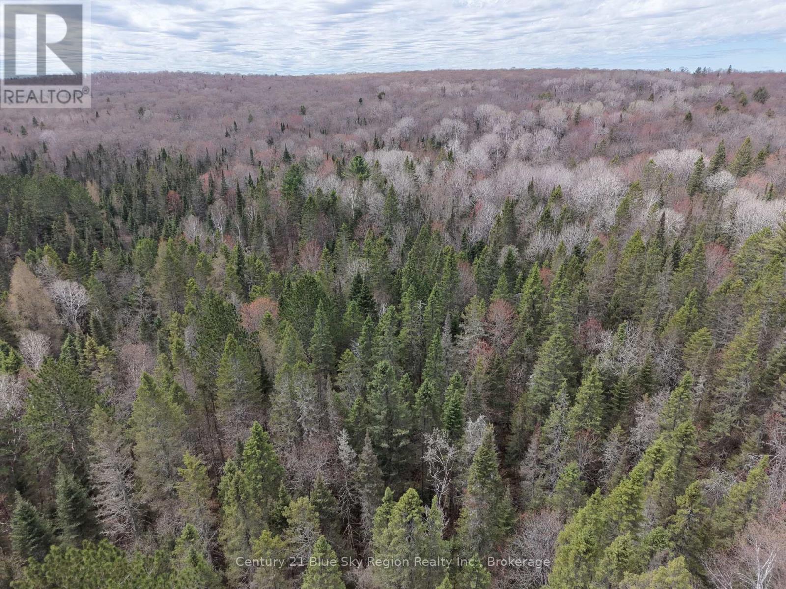 Lot 2, 3, 4, 5, Con 4 Old Nipissing Road, Nipissing, Ontario  P0H 1Z0 - Photo 8 - X13624446