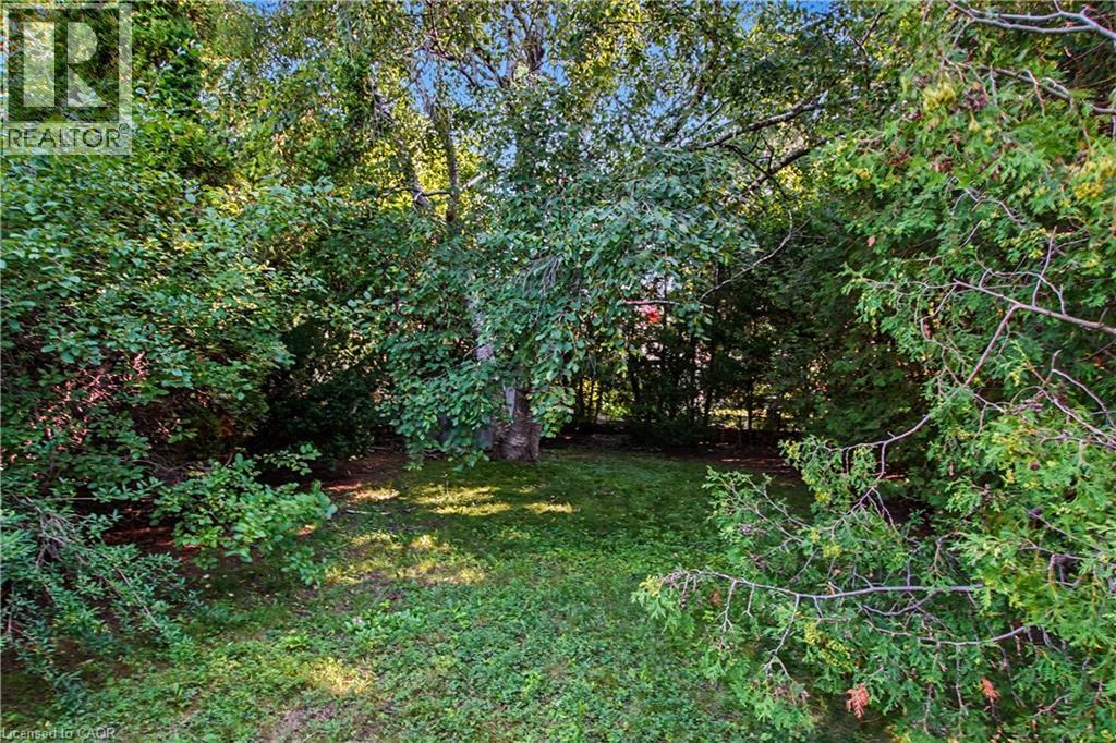 249 Woodhaven Road, Kitchener, Ontario  N2C 1V6 - Photo 6 - 40851741