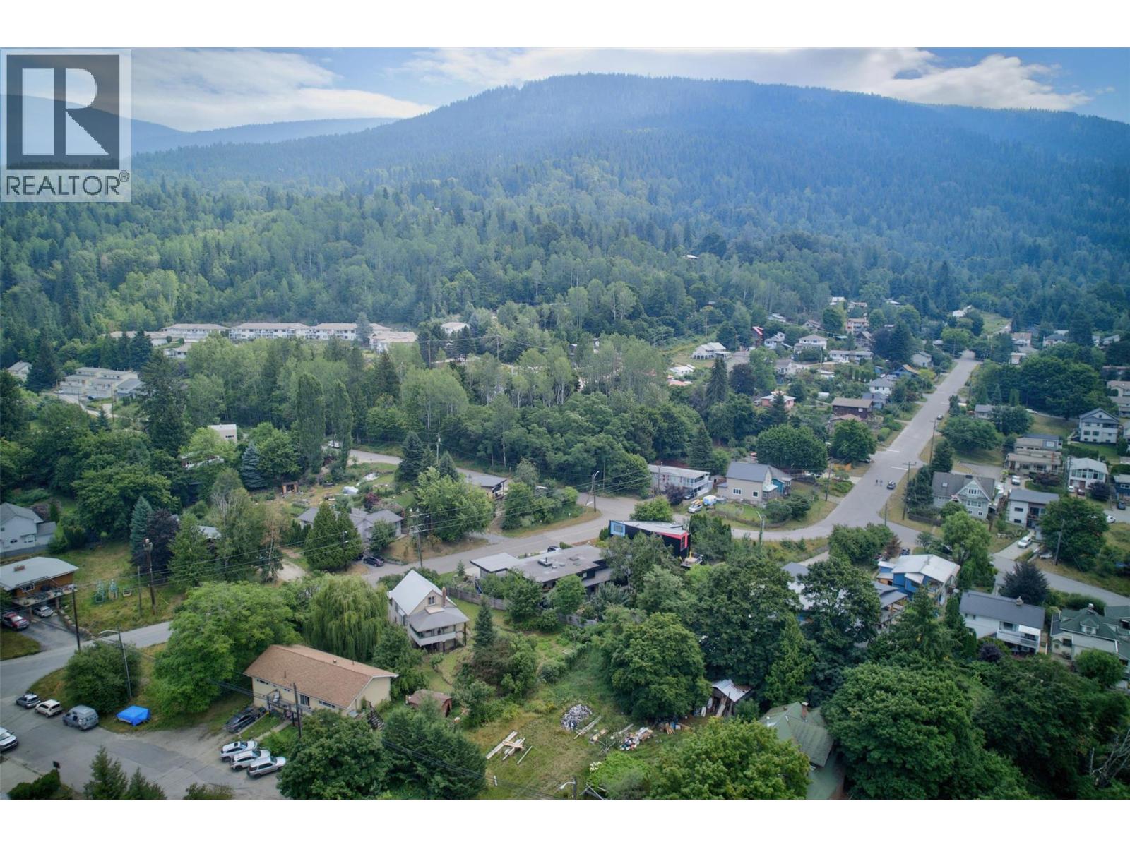 703 Pine Street, Nelson, British Columbia  V1L 2K3 - Photo 61 - 10395989