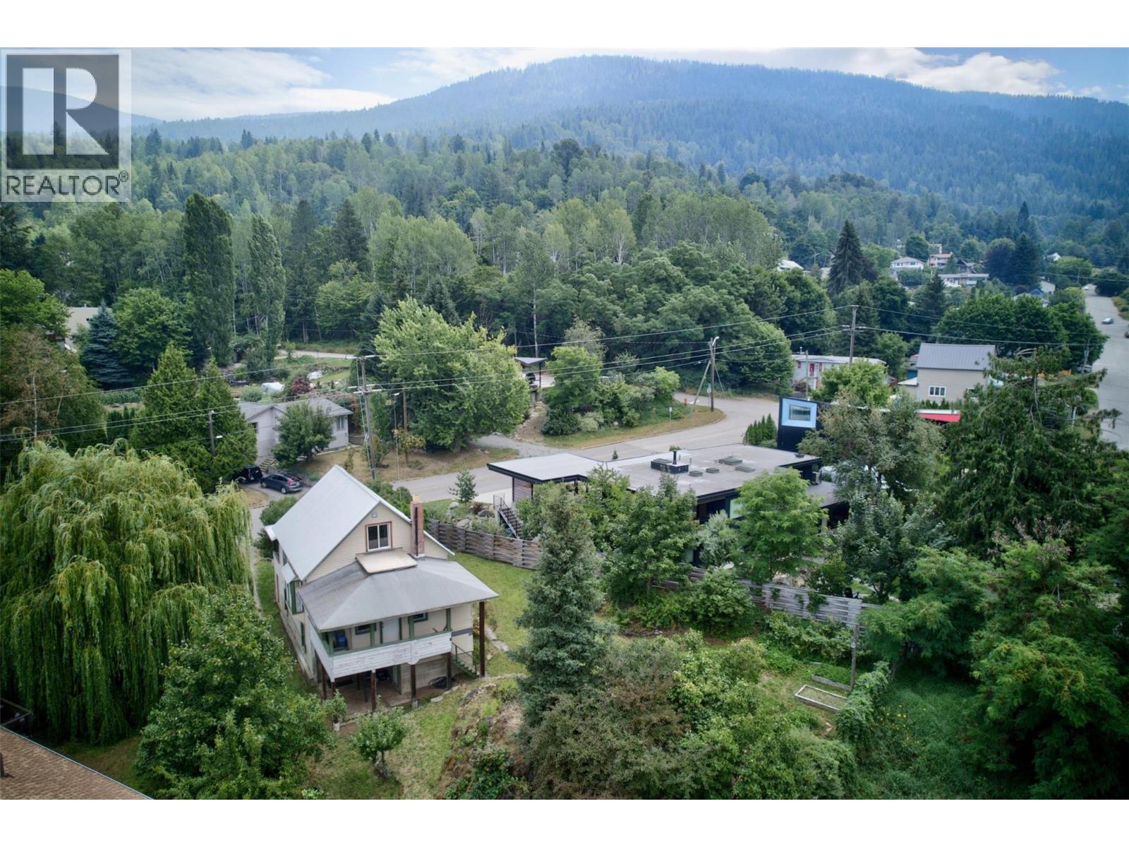 703 Pine Street, Nelson, British Columbia  V1L 2K3 - Photo 62 - 10395989