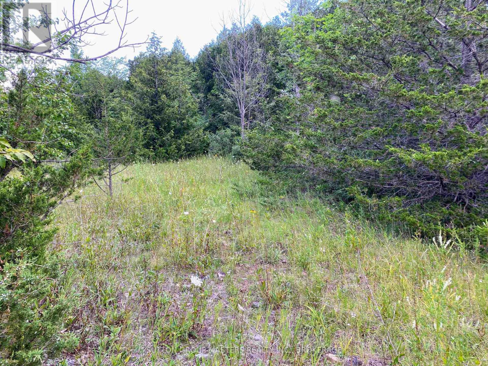 0 Colebrook Road, Stone Mills, Ontario  K0K 3N0 - Photo 2 - X13624962