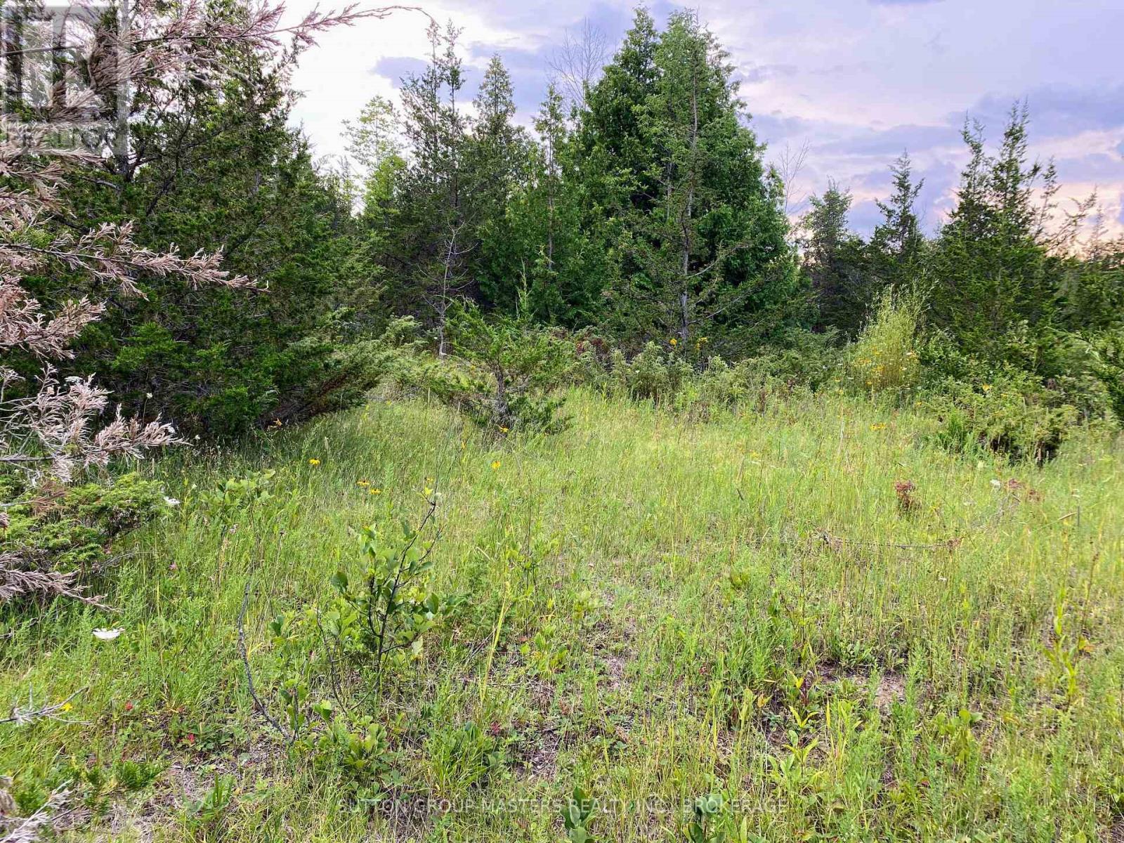 0 Colebrook Road, Stone Mills, Ontario  K0K 3N0 - Photo 4 - X13624962