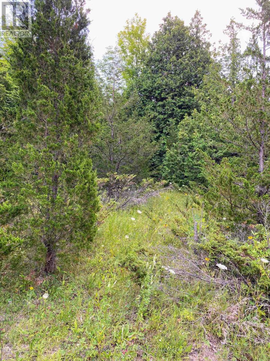 0 Colebrook Road, Stone Mills, Ontario  K0K 3N0 - Photo 5 - X13624962