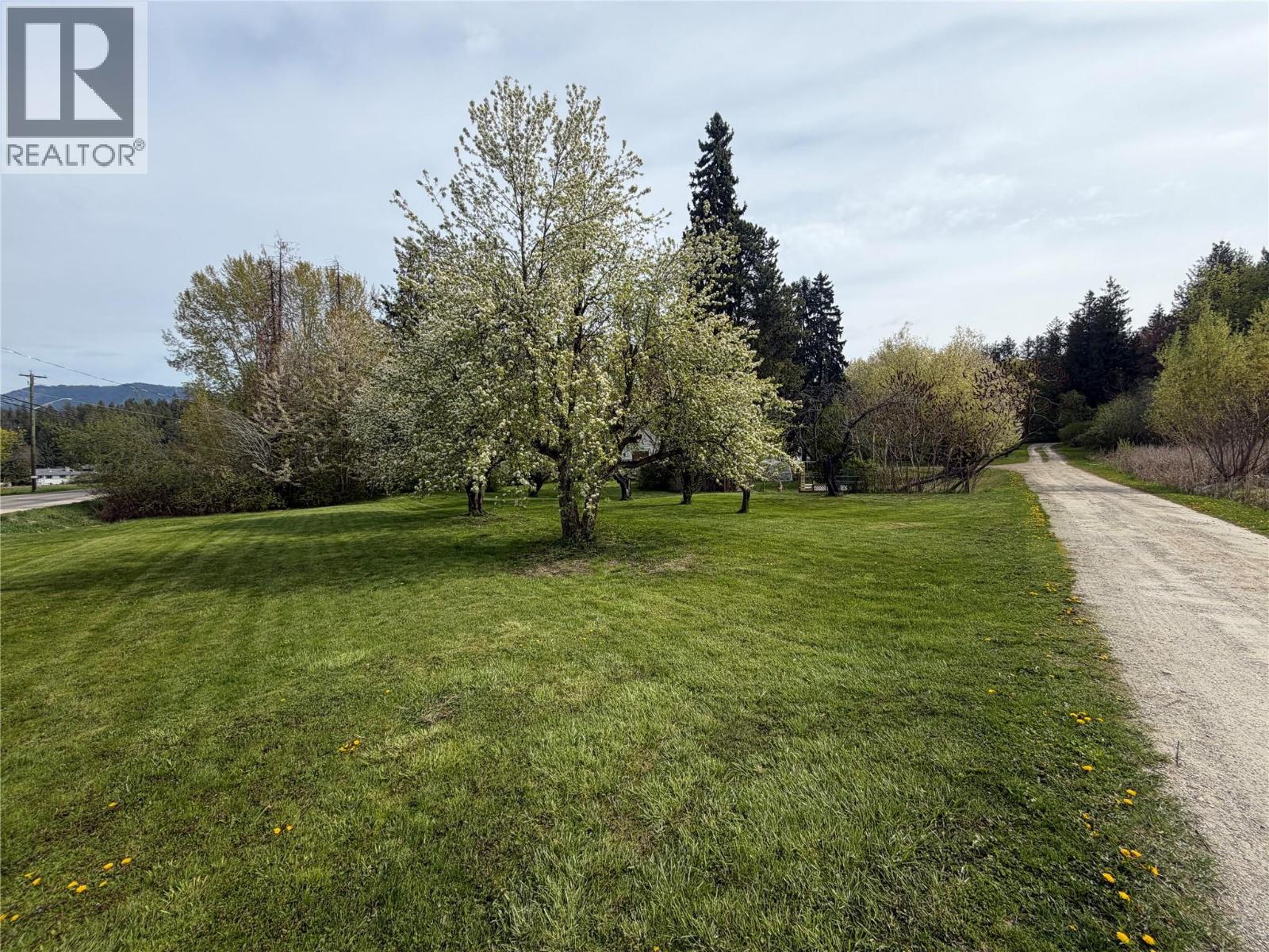 2370 Lakeshore Road NE, Salmon Arm, British Columbia  V1E 3X9 - Photo 9 - 10388496