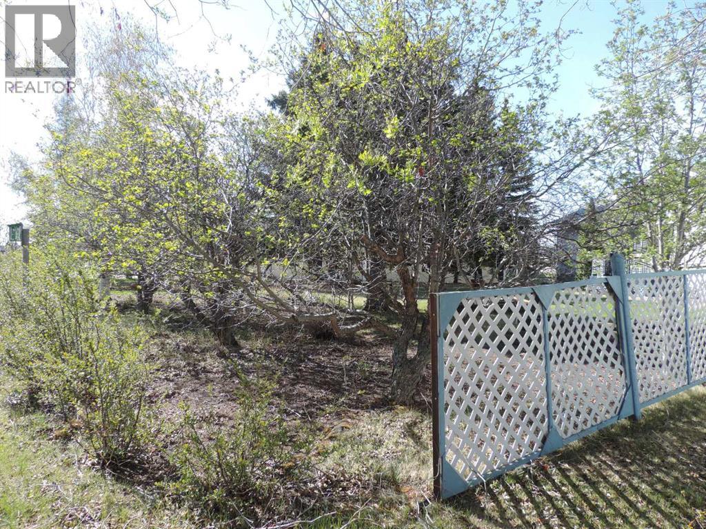 5205 55st., Rimbey, Alberta  T0C 2J0 - Photo 44 - A2295365