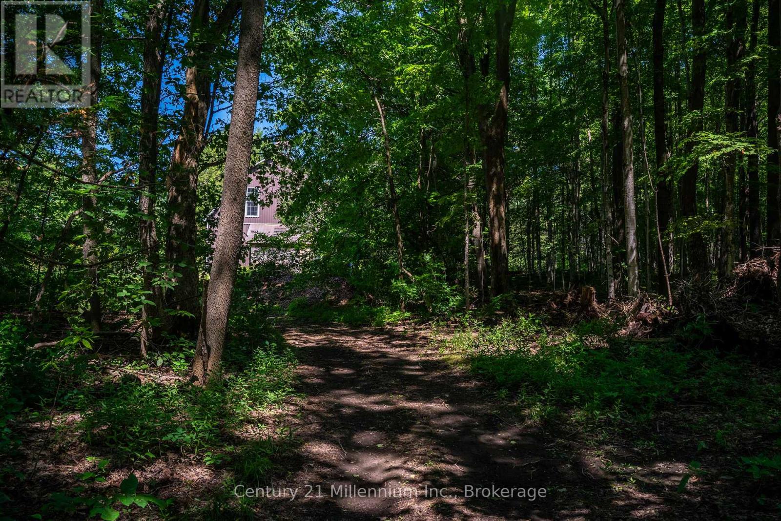 414616 Baseline Road, West Grey, Ontario  N0C 1H0 - Photo 13 - X13624808