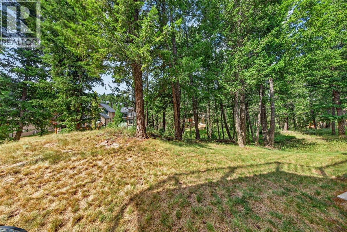 925 Lakeview Meadows Glen Unit# 17, Windermere, British Columbia  V0A 1K3 - Photo 38 - 10395917