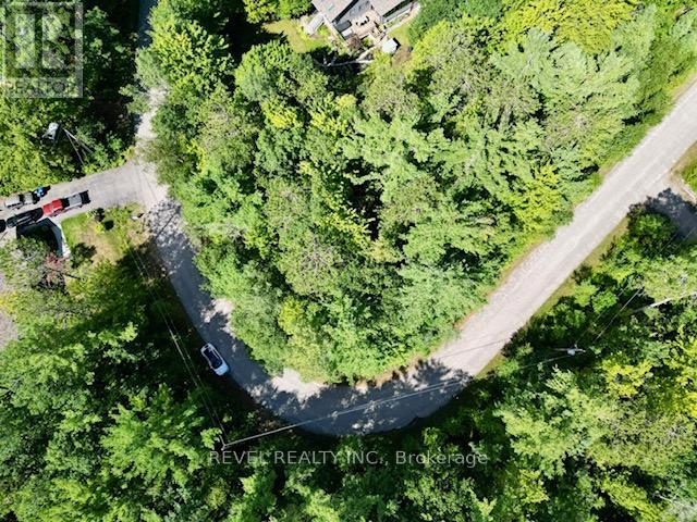 Lot 14 Pineshore Crescent, Tiny, Ontario  L0L 2T0 - Photo 3 - S13625024