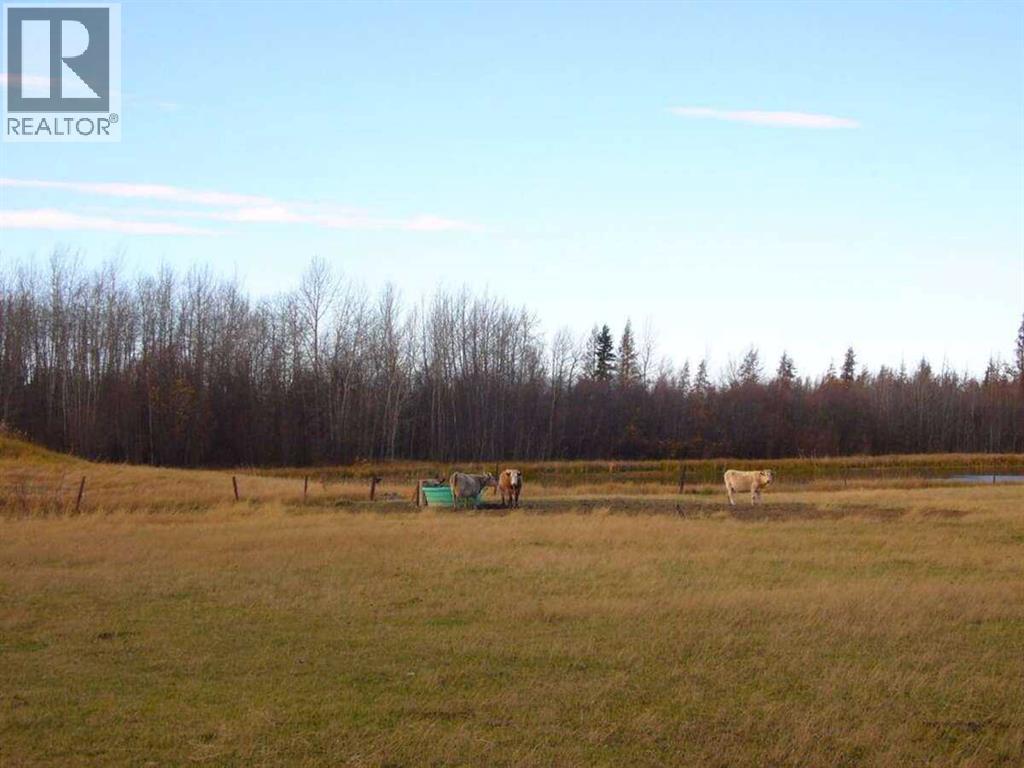 33-82-19-W5, Rural Northern Sunrise County, Alberta  T8S 1R8 - Photo 4 - A2274887