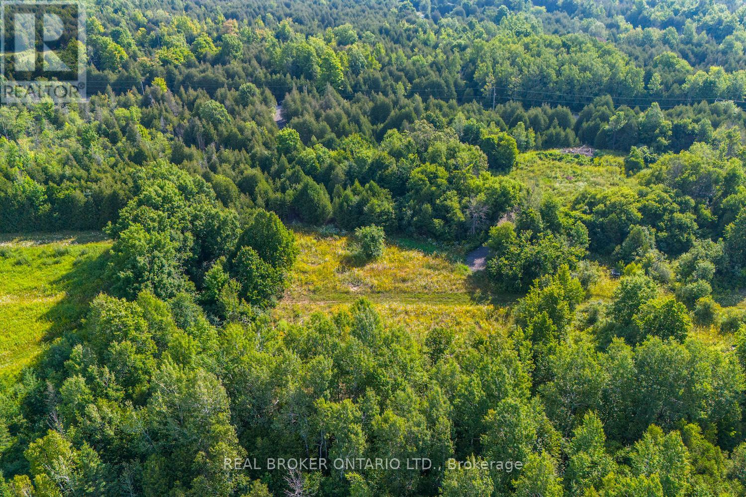 Lot 3 Kyle Road, Augusta, Ontario  K0G 1R0 - Photo 14 - X13625328