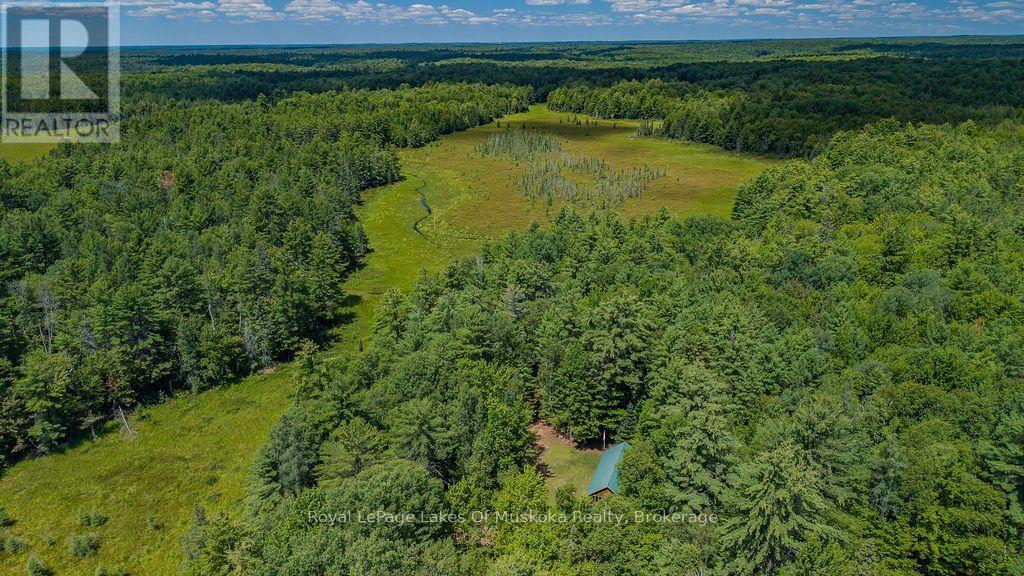 1101 Langford Road, Lake Of Bays, Ontario  P0B 1A0 - Photo 5 - X13625266