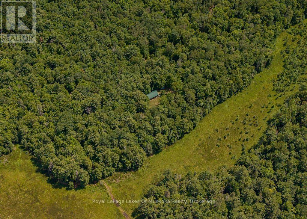 1101 Langford Road, Lake Of Bays, Ontario  P0B 1A0 - Photo 6 - X13625266