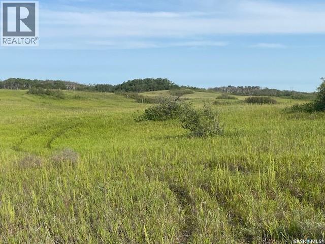 21 Acres Willow Cres Pike Lake Area, Vanscoy Rm No. 345, Saskatchewan  S7K 1N2 - Photo 10 - SK044181