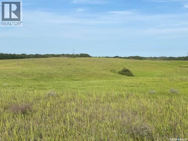 21 Acres Willow Cres Pike Lake Area, Vanscoy Rm No. 345, Saskatchewan  S7K 1N2 - Photo 11 - SK044181