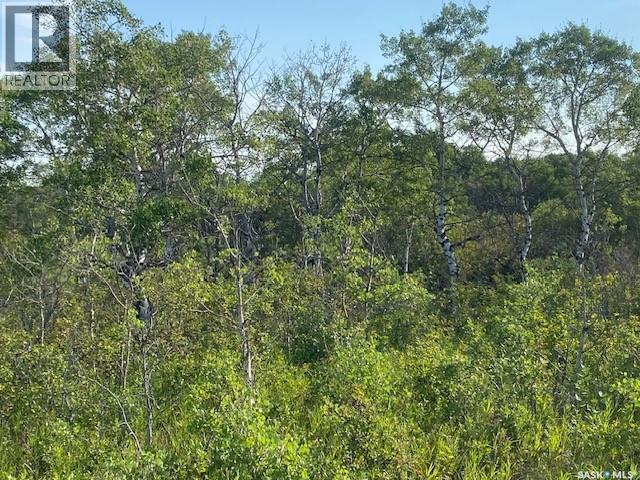 21 Acres Willow Cres Pike Lake Area, Vanscoy Rm No. 345, Saskatchewan  S7K 1N2 - Photo 13 - SK044181