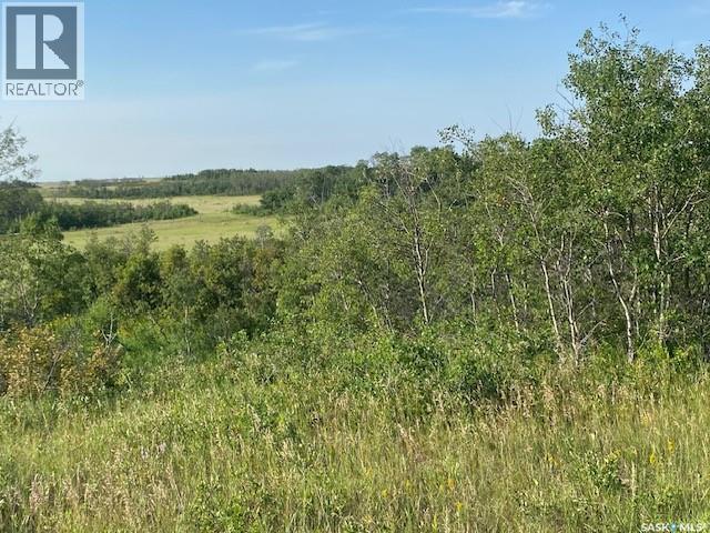 21 Acres Willow Cres Pike Lake Area, Vanscoy Rm No. 345, Saskatchewan  S7K 1N2 - Photo 14 - SK044181