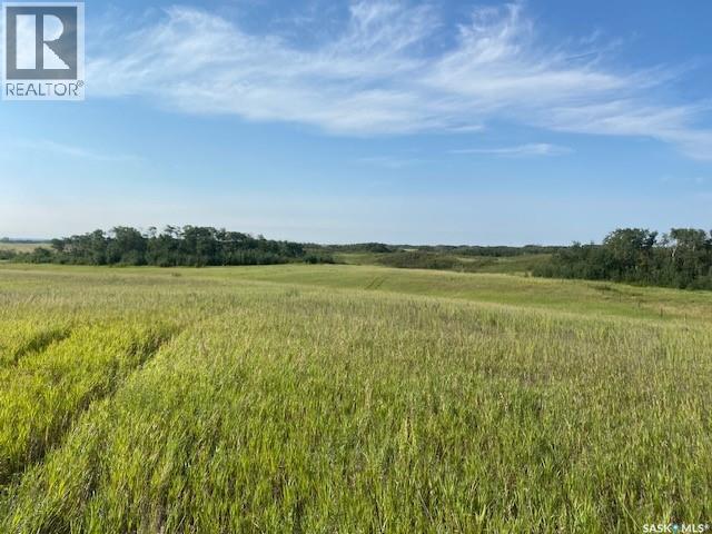 21 Acres Willow Cres Pike Lake Area, Vanscoy Rm No. 345, Saskatchewan  S7K 1N2 - Photo 18 - SK044181