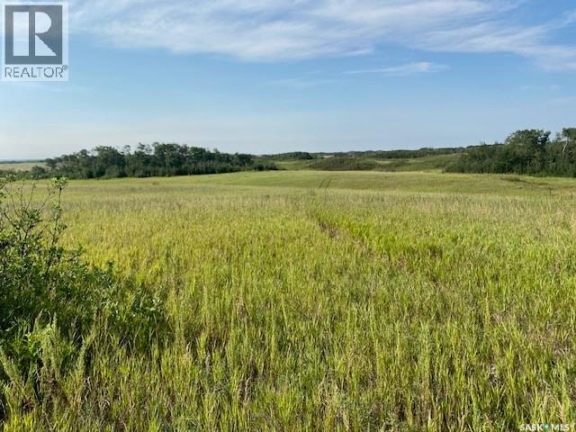 21 Acres Willow Cres Pike Lake Area, Vanscoy Rm No. 345, Saskatchewan  S7K 1N2 - Photo 21 - SK044181