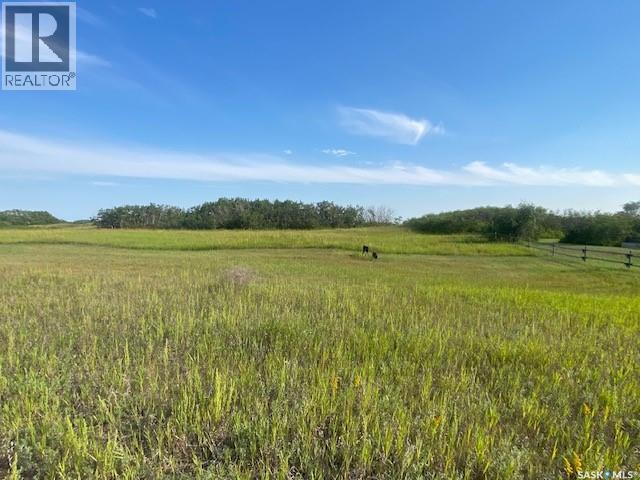 21 Acres Willow Cres Pike Lake Area, Vanscoy Rm No. 345, Saskatchewan  S7K 1N2 - Photo 5 - SK044181