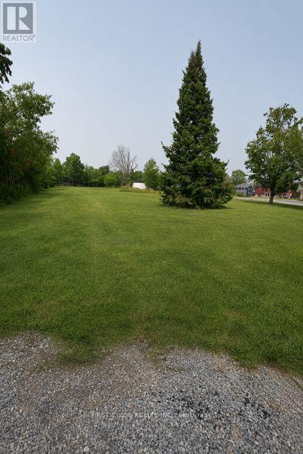 108 Main Street W, Kawartha Lakes, Ontario  K0M 1A0 - Photo 7 - X13625500