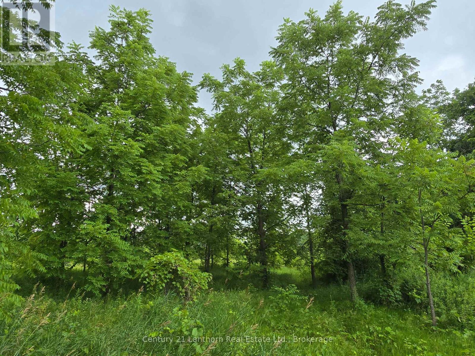 448 Harrington Road, Quinte West, Ontario  K0K 2C0 - Photo 37 - X13625782