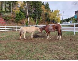 8622 Highway 209, Port Greville, Nova Scotia