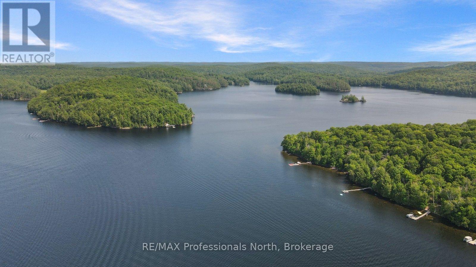 11230 Hunters (Wao) Island, Dysart Et Al, Ontario  K0M 1S0 - Photo 49 - X13625622