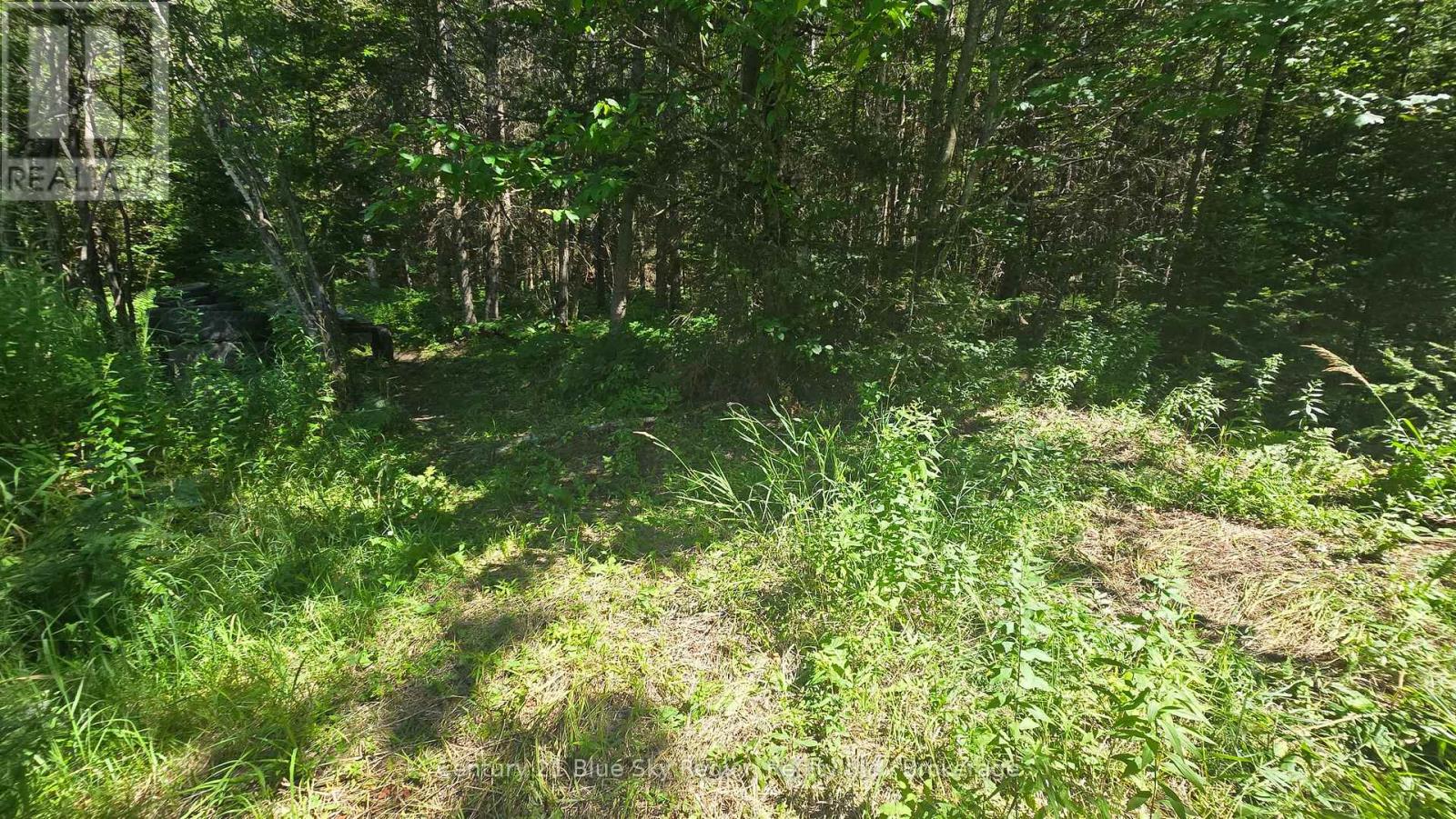 2805 Chiswick Line, Chisholm, Ontario  P0H 1Z0 - Photo 30 - X13625804