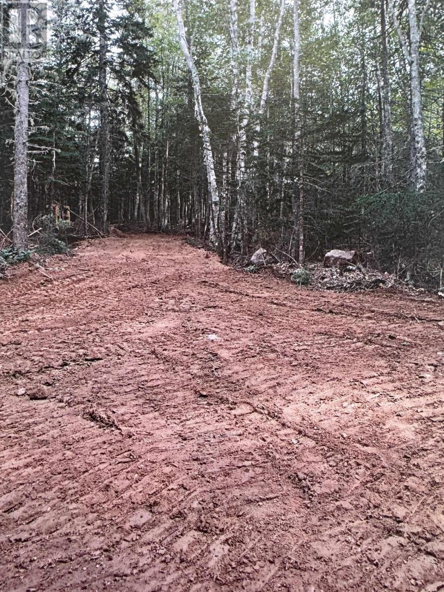 8a Duck Pond Road, Black River Lake, Nova Scotia  B0M 1B0 - Photo 4 - 202614478