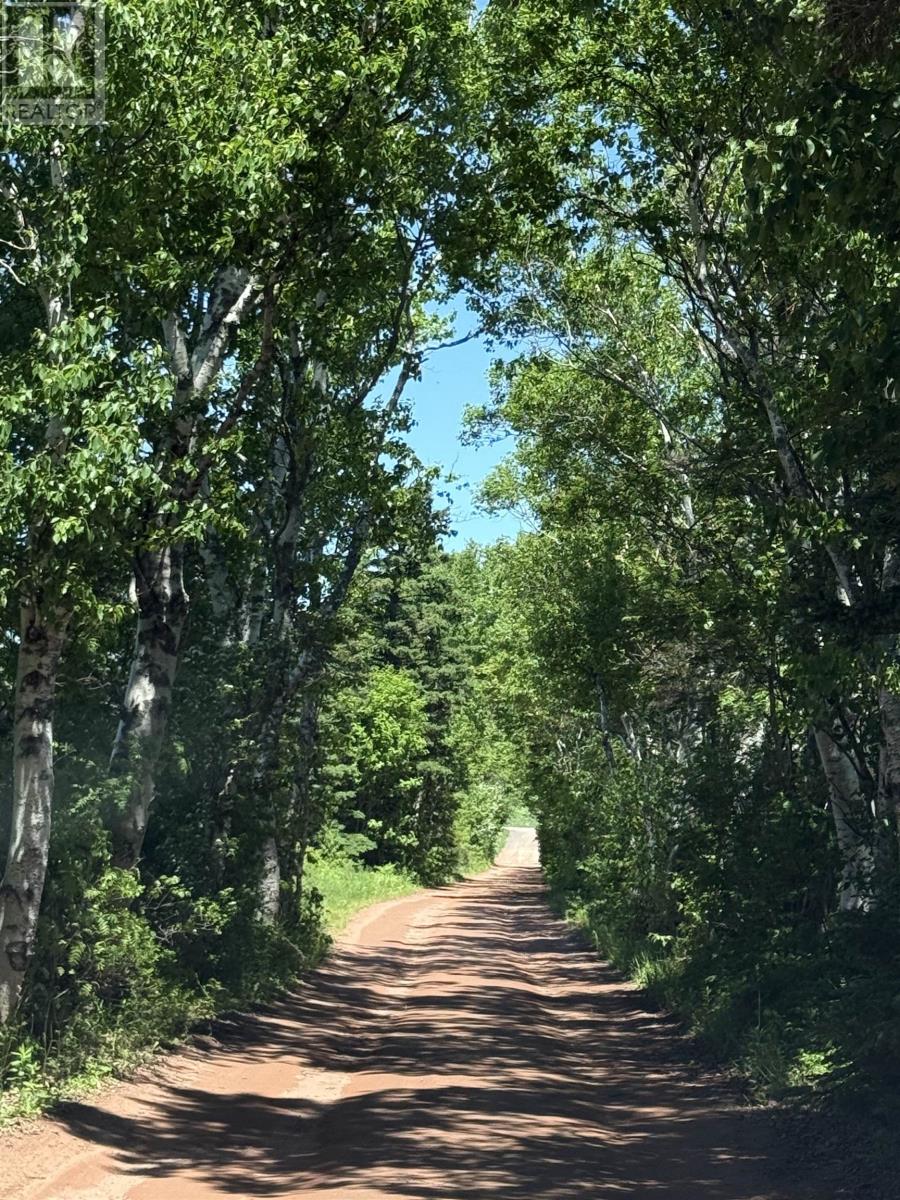 7 Acres Ince Drive - Hampton Beach, Hampton, Prince Edward Island  C0A 1J0 - Photo 21 - 202619186