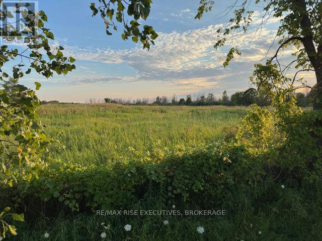 3878 County Rd 8, Greater Napanee, Ontario K7R 3K7 - Photo 3 - X13625956