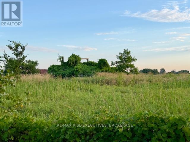 3878 County Rd 8, Greater Napanee, Ontario K7R 3K7 - Photo 4 - X13625956