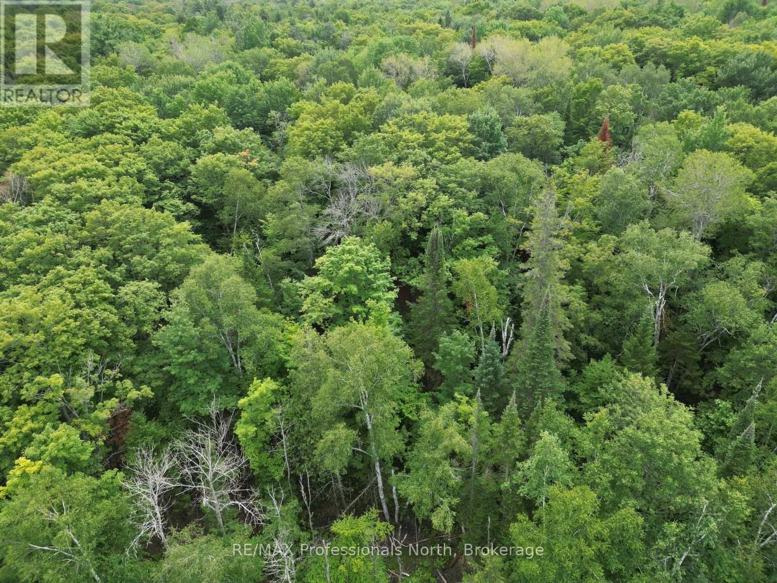 Lt 68 Pl 581 North Drive, Dysart Et Al, Ontario  K0M 1S0 - Photo 12 - X13625966
