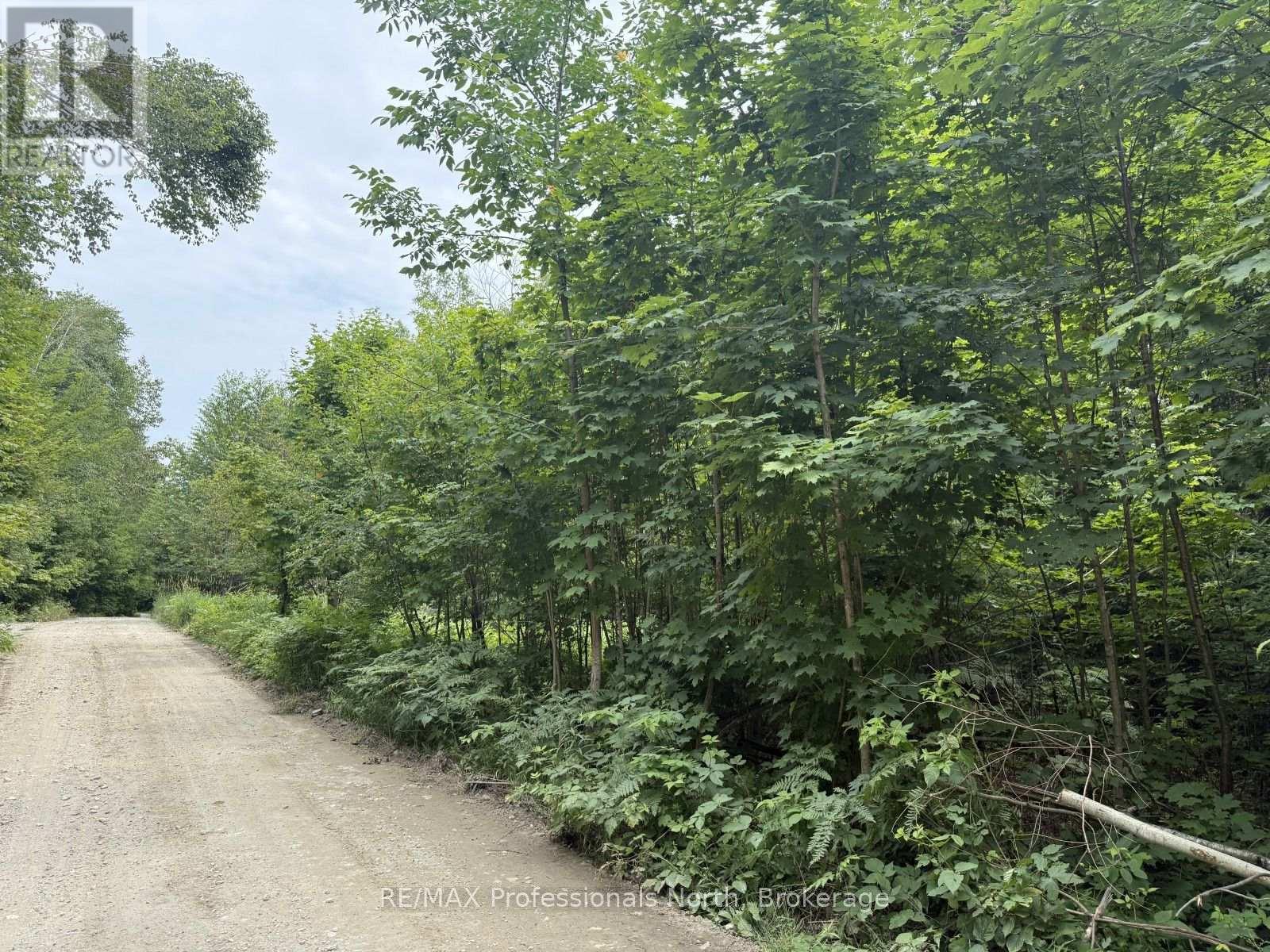 Lt 68 Pl 581 North Drive, Dysart Et Al, Ontario  K0M 1S0 - Photo 4 - X13625966