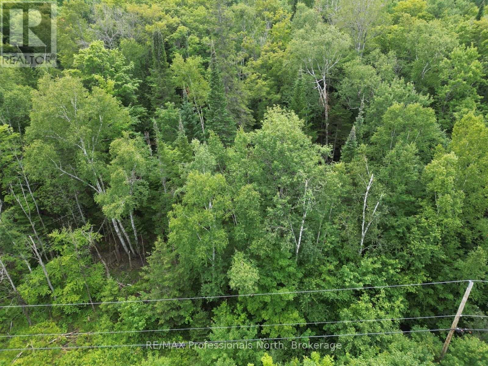 Lt 68 Pl 581 North Drive, Dysart Et Al, Ontario  K0M 1S0 - Photo 9 - X13625966