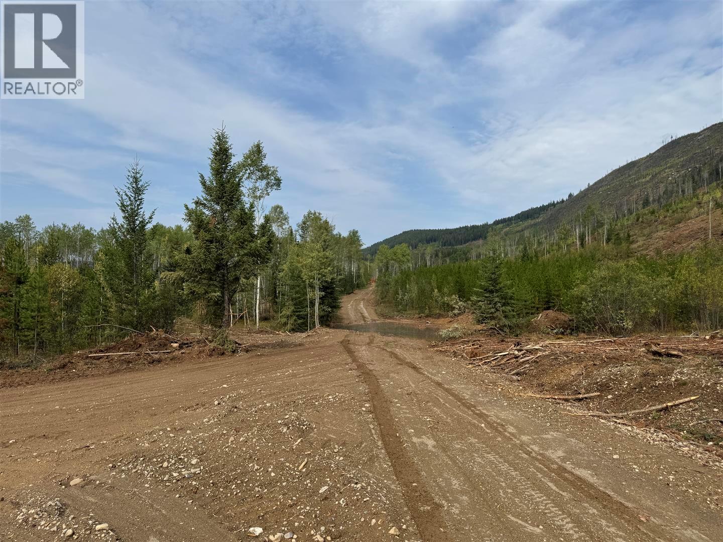 Dl 10766 Giant Mine Road, Spillimacheen, British Columbia  V0A 1P0 - Photo 28 - 10363579