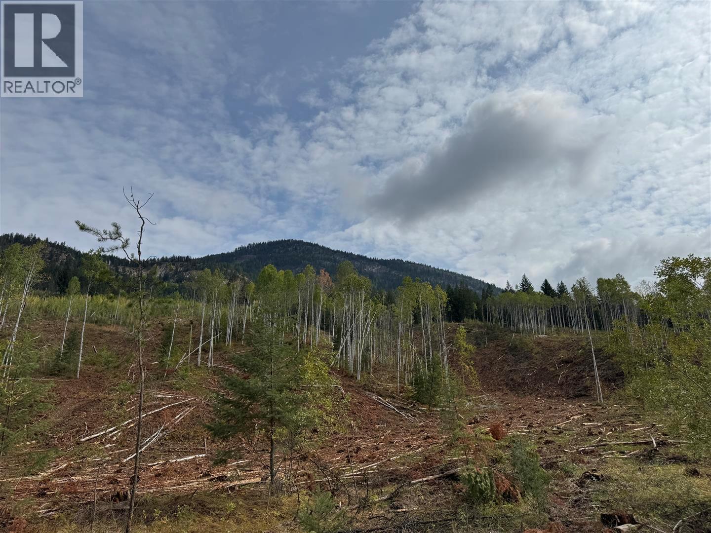 Dl 10766 Giant Mine Road, Spillimacheen, British Columbia  V0A 1P0 - Photo 19 - 10363579
