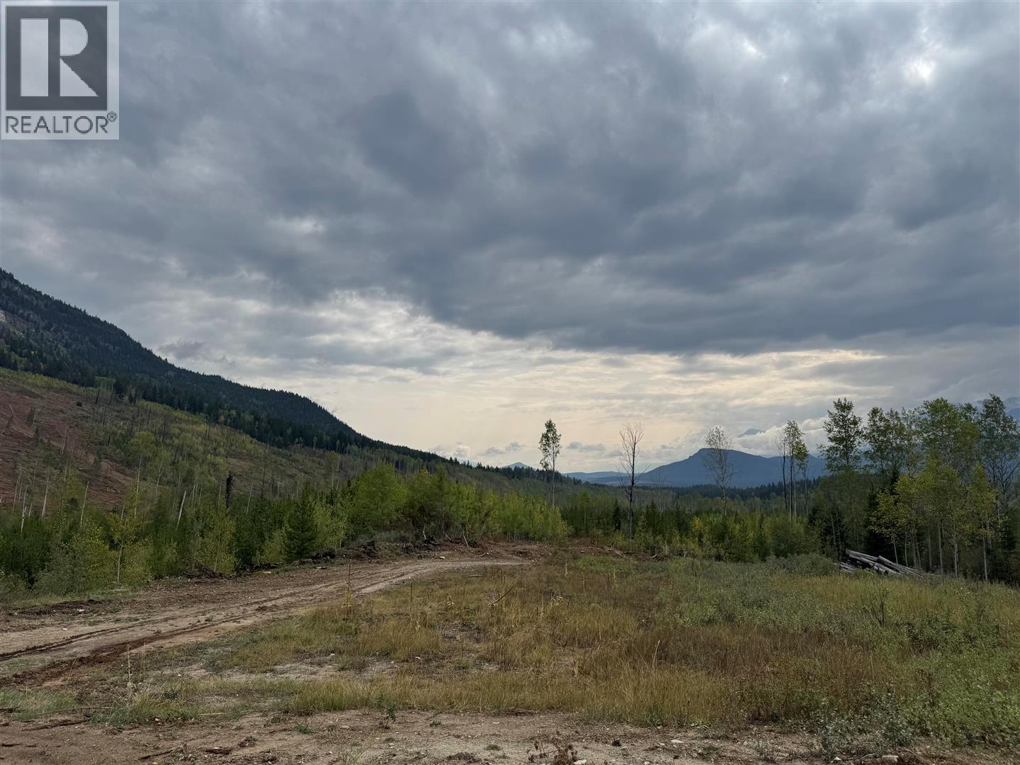 Dl 10766 Giant Mine Road, Spillimacheen, British Columbia  V0A 1P0 - Photo 21 - 10363579