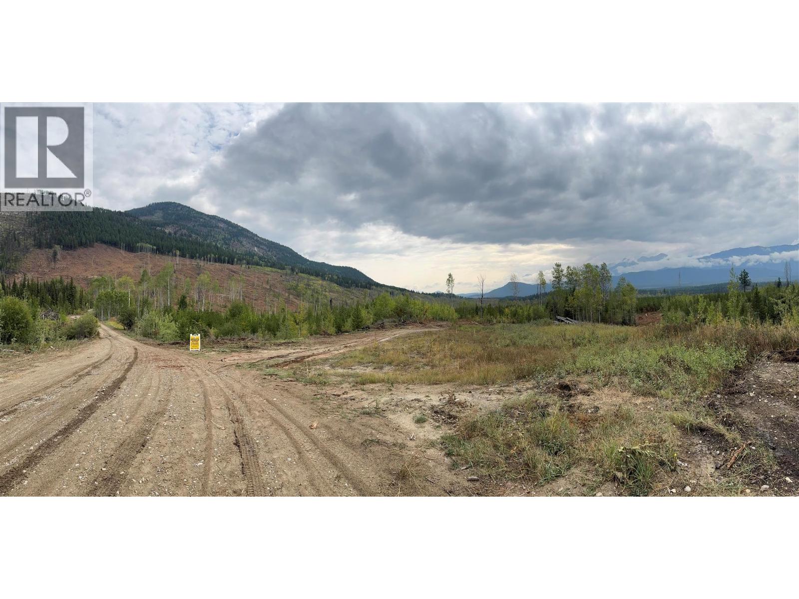 Dl 10766 Giant Mine Road, Spillimacheen, British Columbia  V0A 1P0 - Photo 23 - 10363579