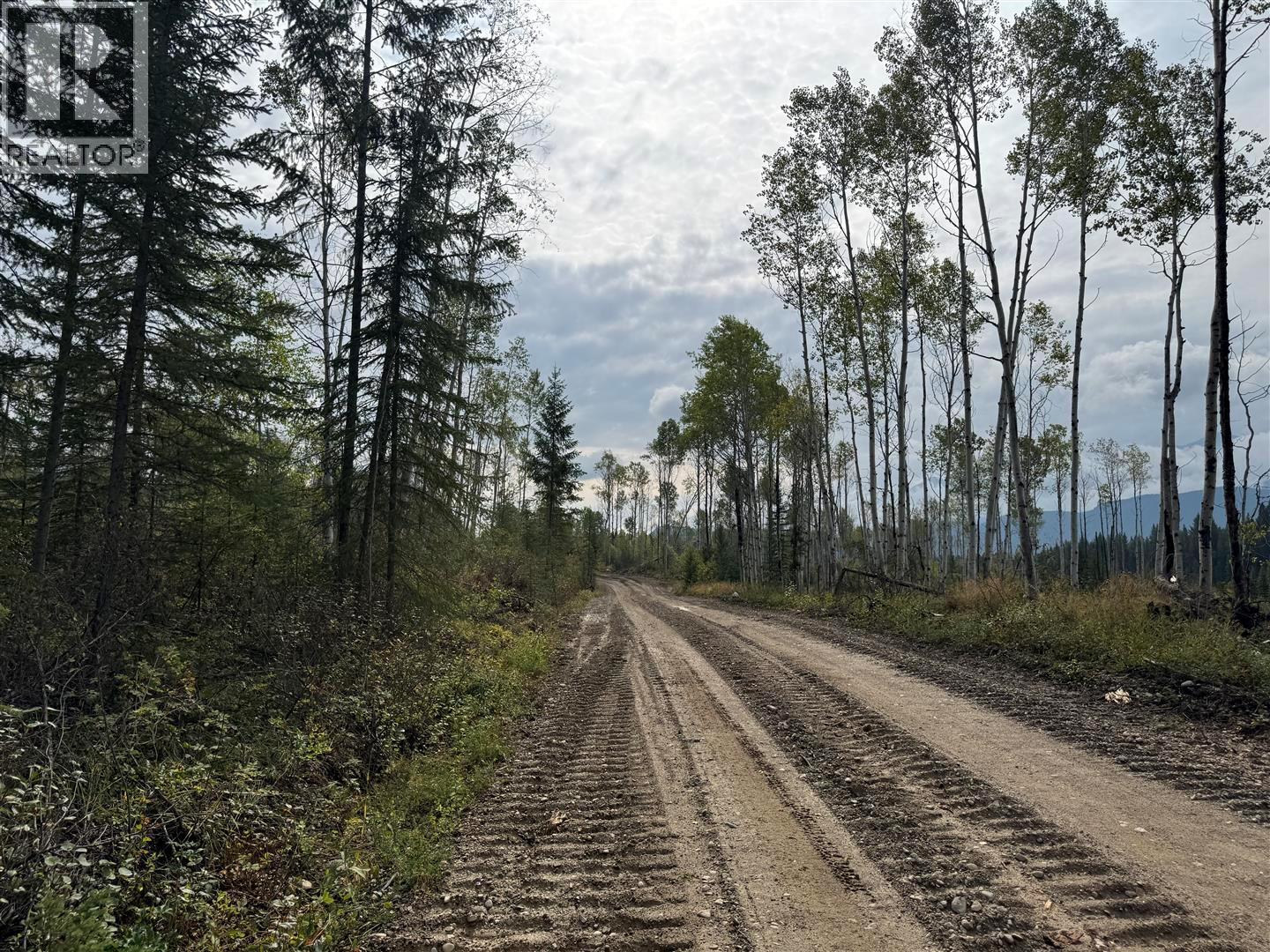 Dl 10766 Giant Mine Road, Spillimacheen, British Columbia  V0A 1P0 - Photo 29 - 10363579