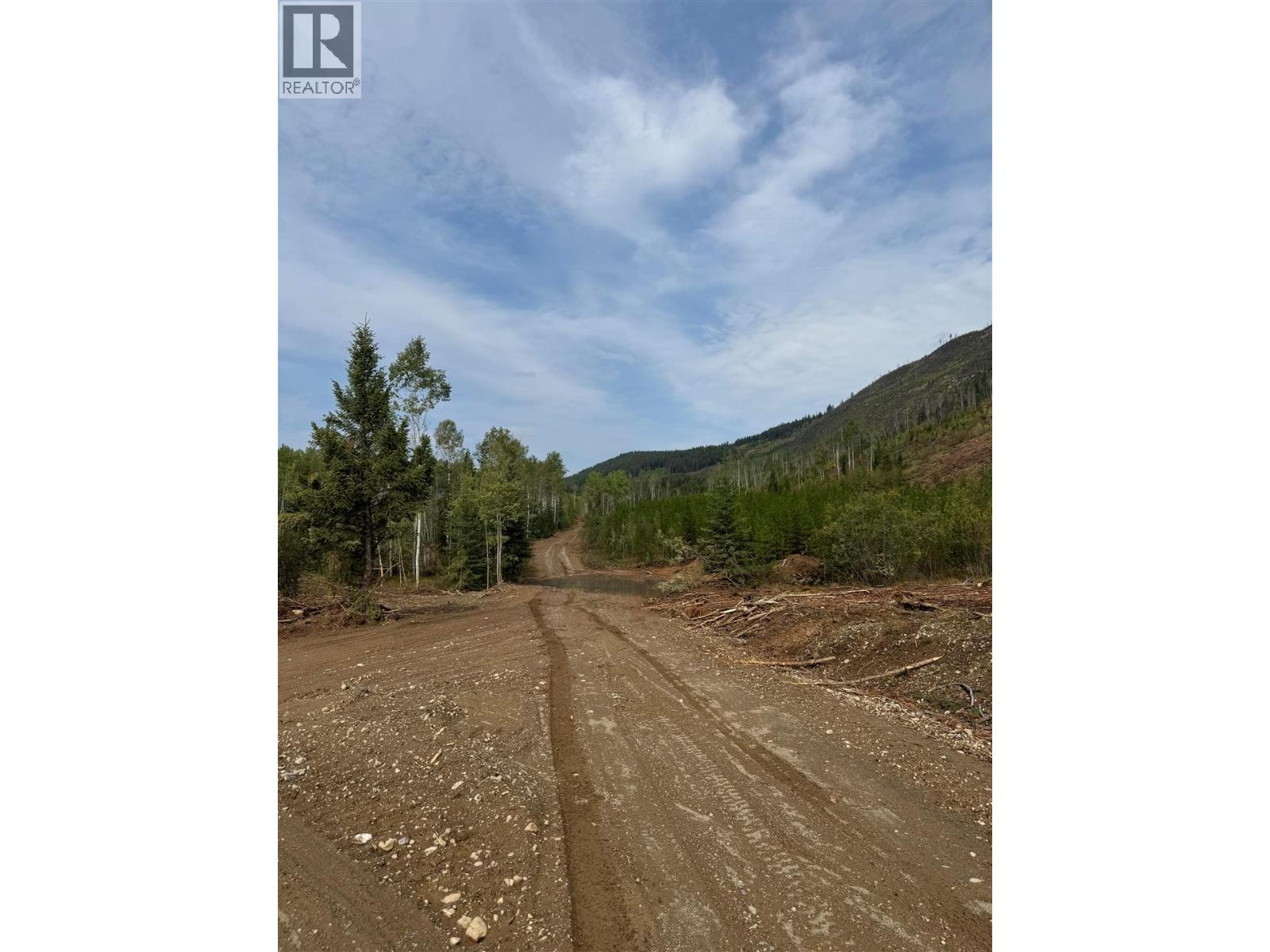 Dl 10766 Giant Mine Road, Spillimacheen, British Columbia  V0A 1P0 - Photo 27 - 10363579