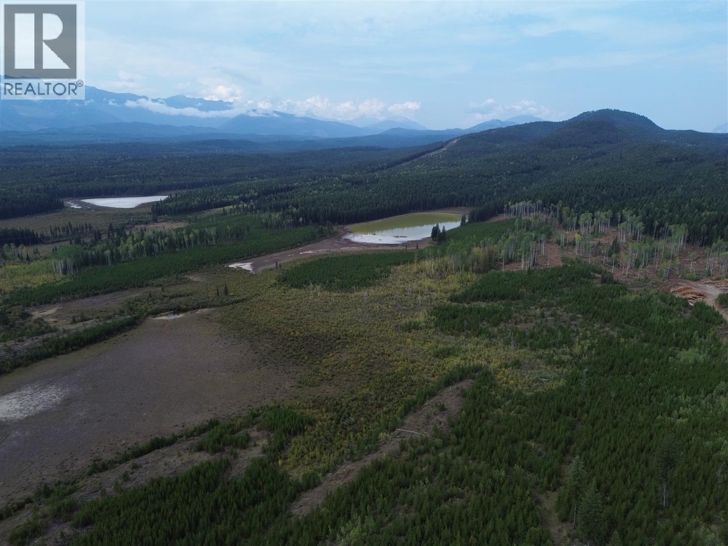 Dl 10766 Giant Mine Road, Spillimacheen, British Columbia  V0A 1P0 - Photo 14 - 10363579